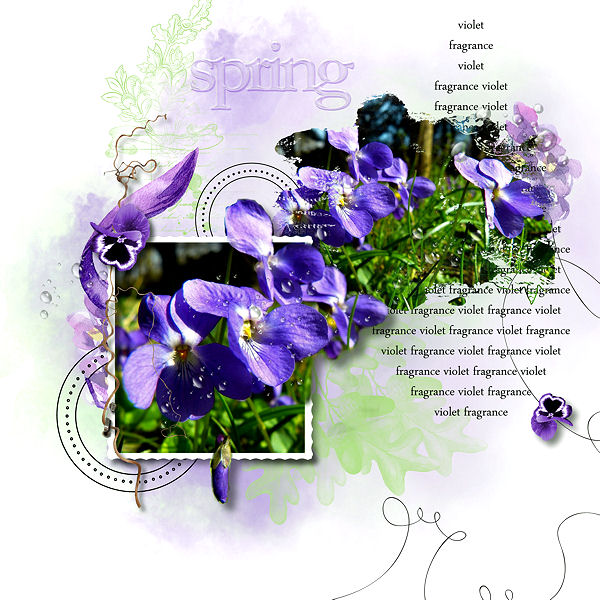 Violet fragrance