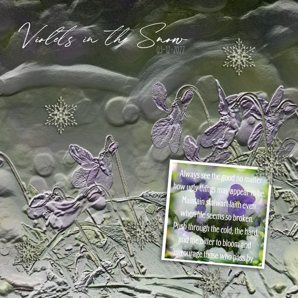 Violets in the Snow