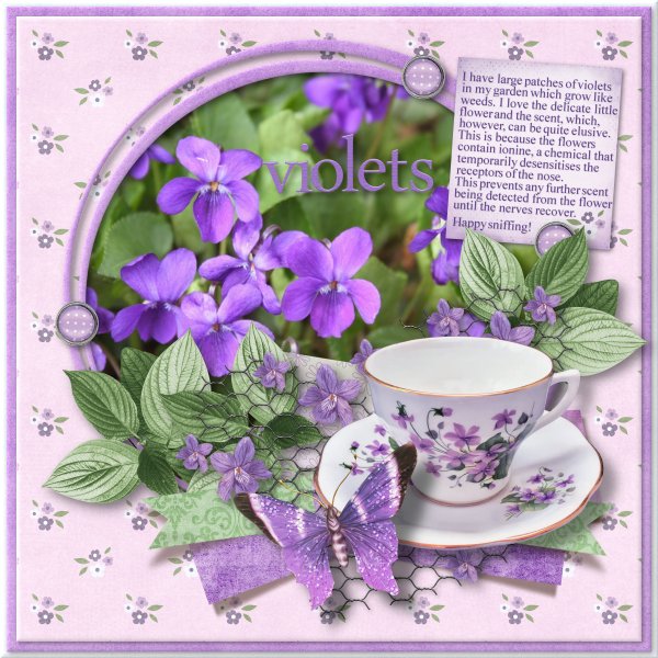 Violets