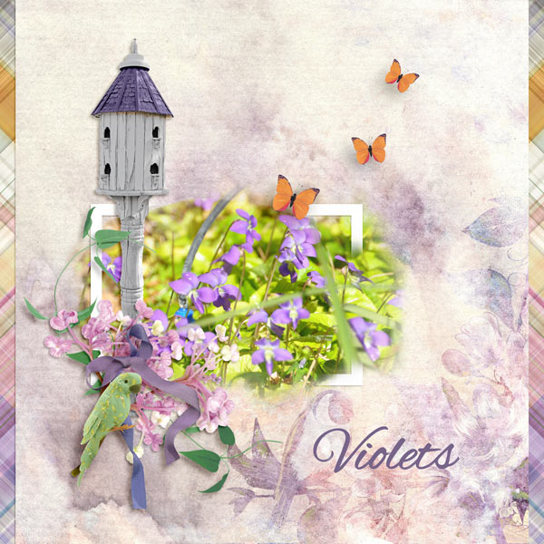 Violets