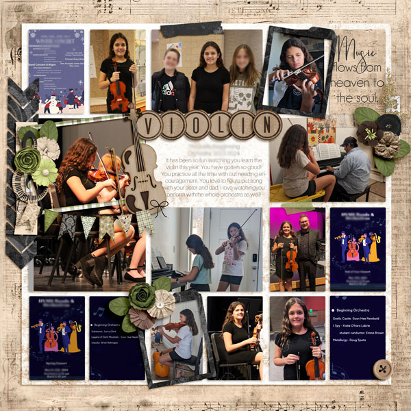 Violin