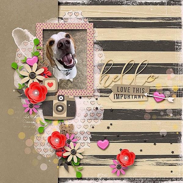 VIP puppy