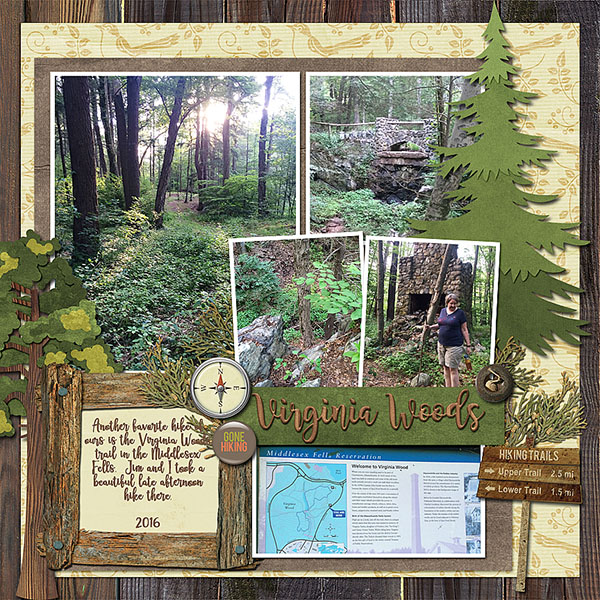 Virginia Woods
