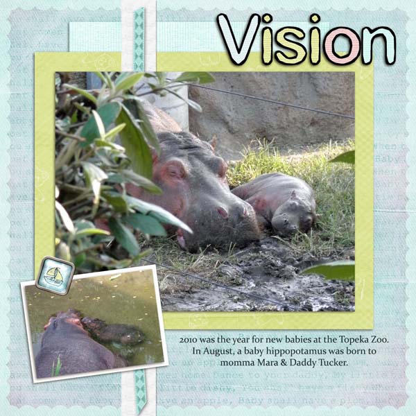 Vision
