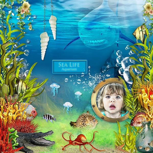 Visit to the Aquarium