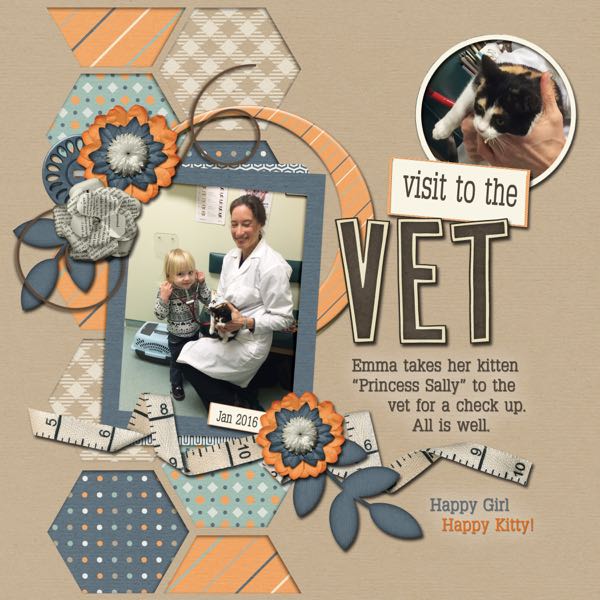 Visit to the Vet