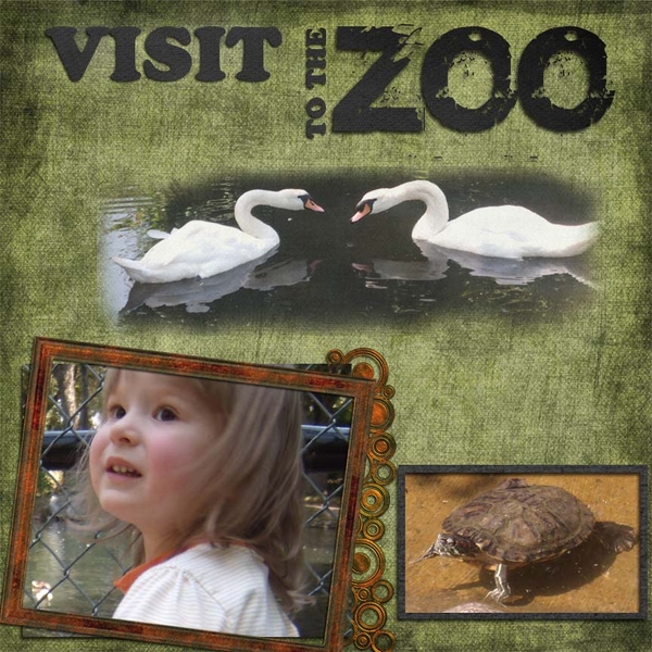 Visit to the Zoo