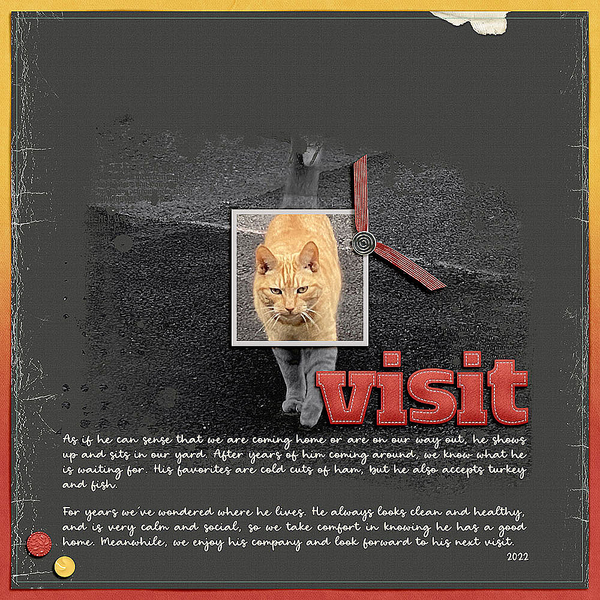 Visit