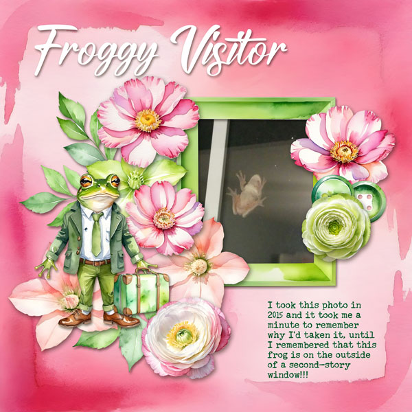 Visiting Frog