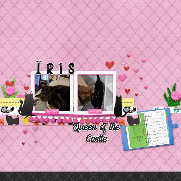 Visiting Iris