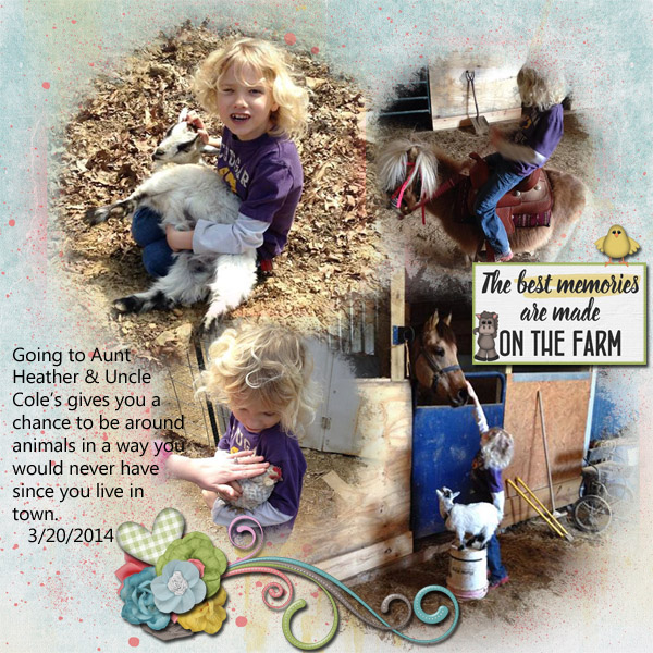 Visiting the Farm