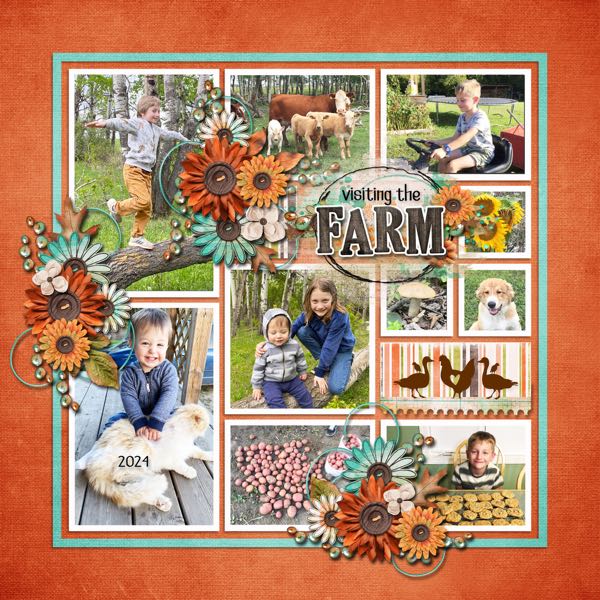Visiting the Farm