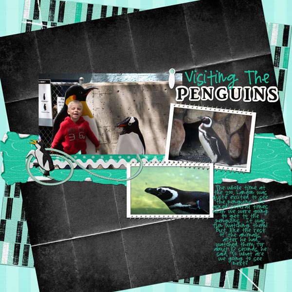 Visiting the Penguins