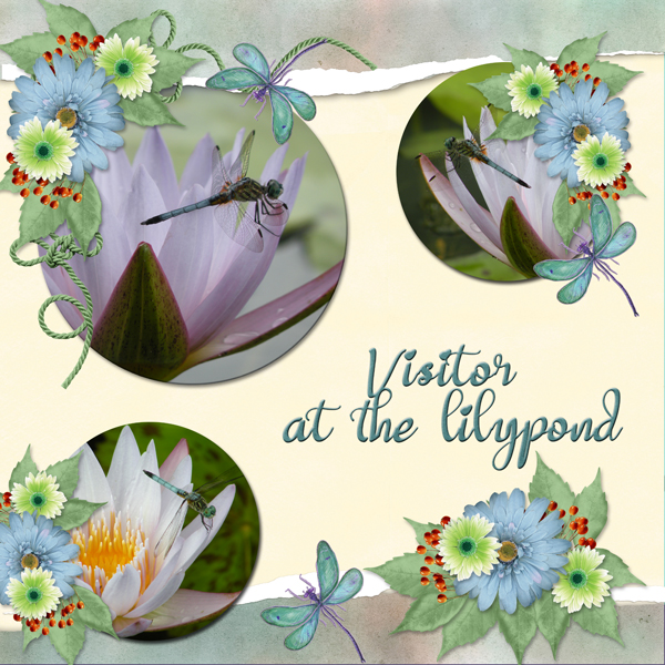 Visitor at the lilypond