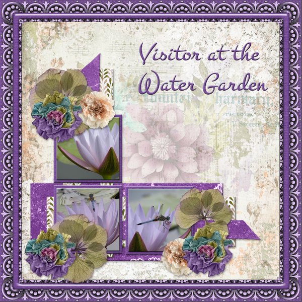Visitor at the Water Garden