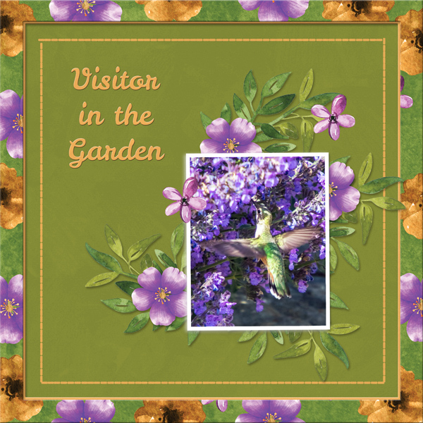 Visitor in the Garden