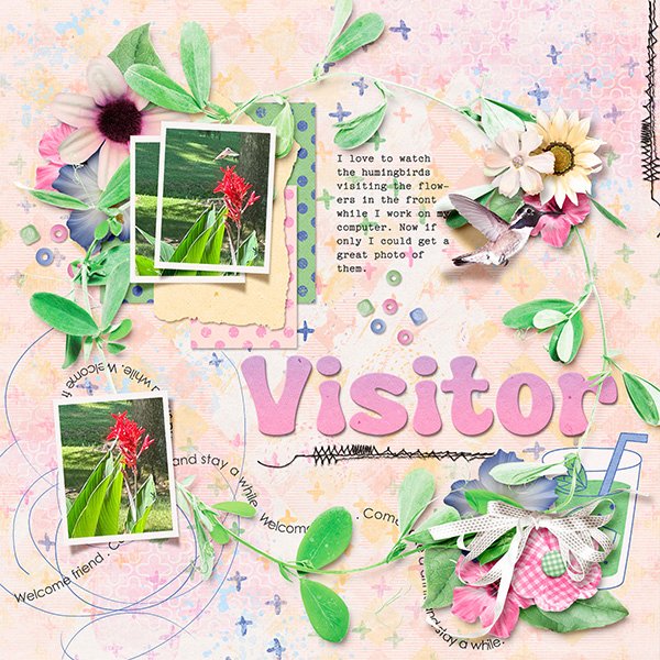 Visitor