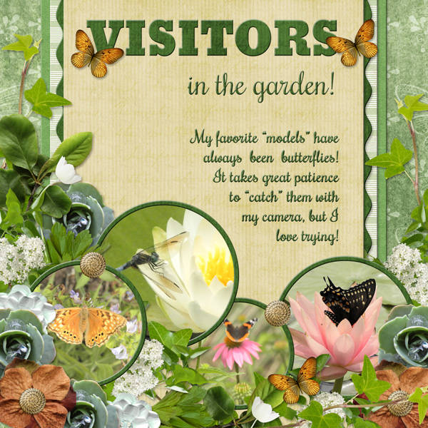 Visitors in the garden!