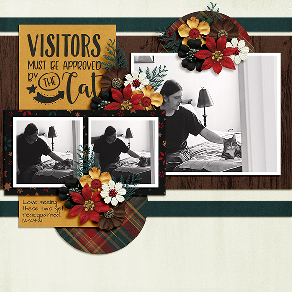 Visitors