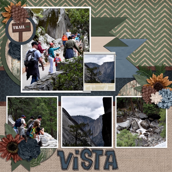 Vista