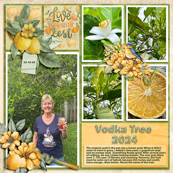 Vodka Tree 2024
