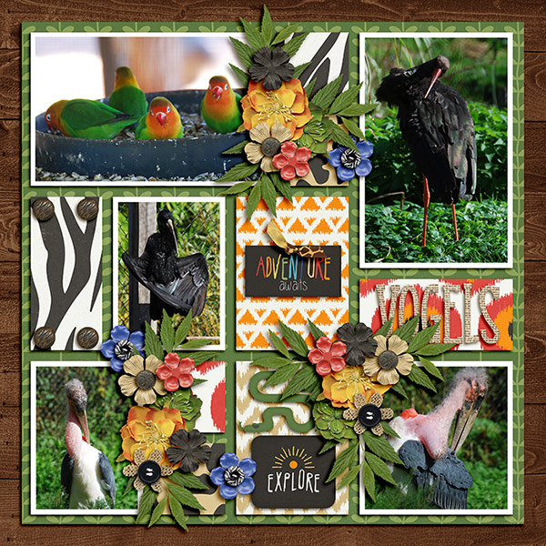Vogels