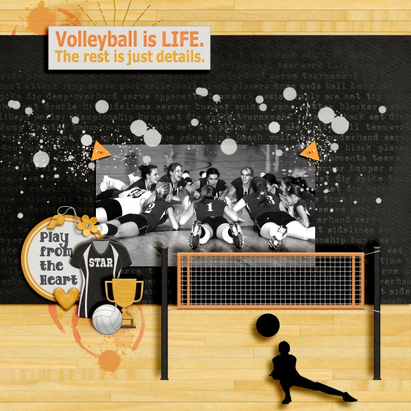Volleyball is LIFE