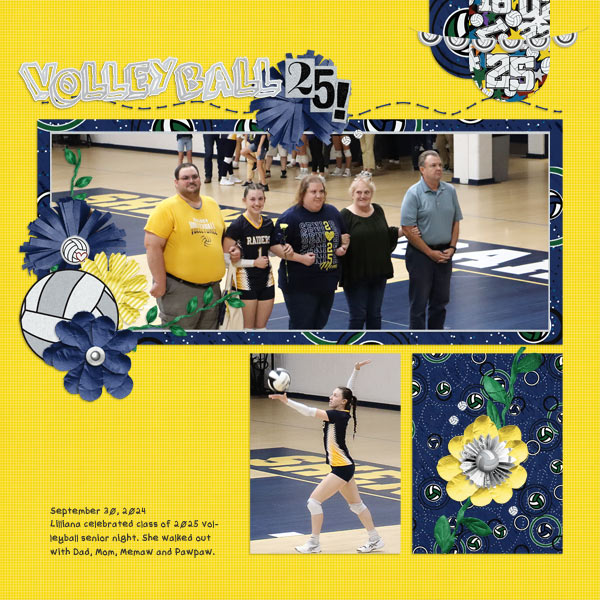 Volleyball Senior Night