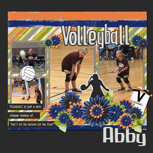 Volleyball