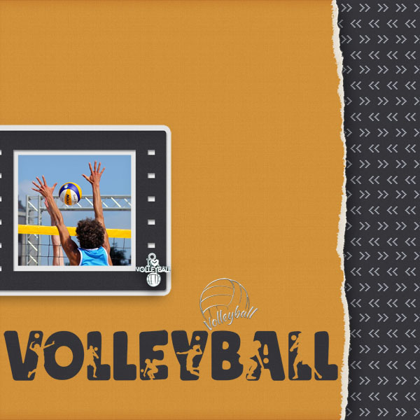 Volleyball