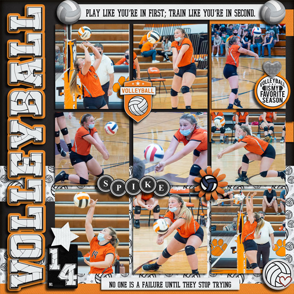 Volleyball