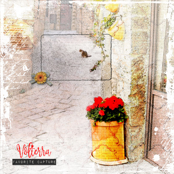 Volterra