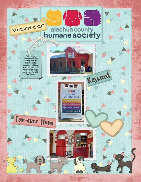 Volunteer Alachua County Humane Society