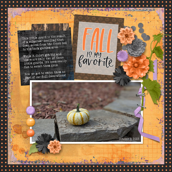 Volunteer gourd