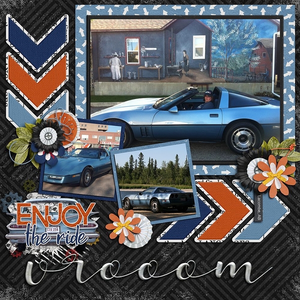 vroom Enjoy the Ride