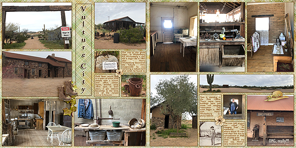 Vulture City