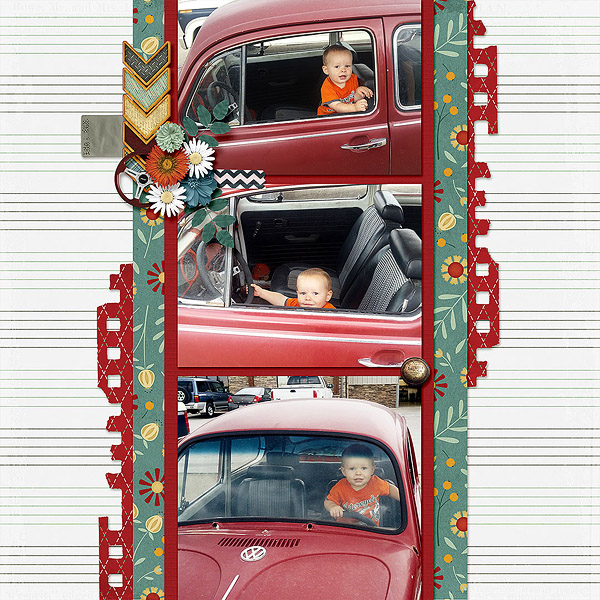 VW Bug