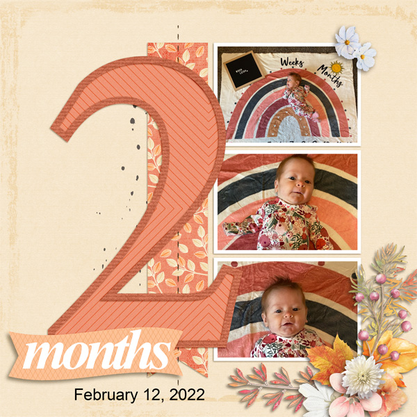 W_2_Months