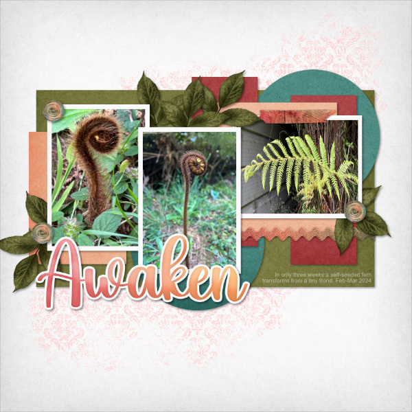 WA March 2024: Awaken