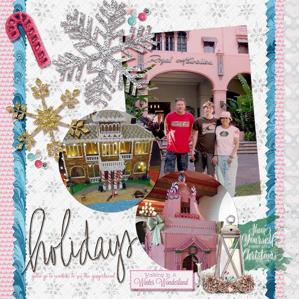 waikiki holidays