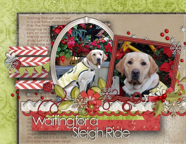 Waiting for a Sleigh Ride