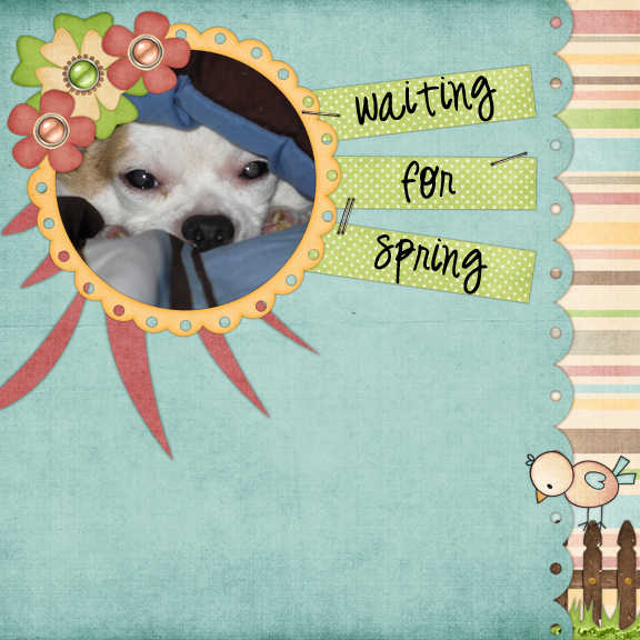 Waiting for Spring