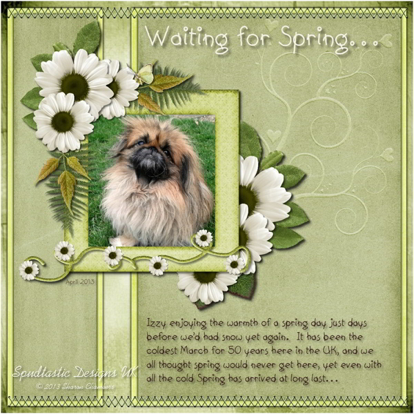 Waiting for Spring...