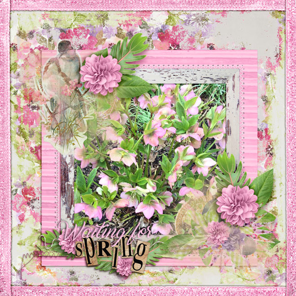 Waiting-for-spring1