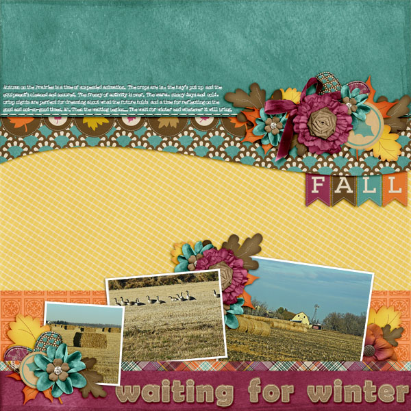 Waiting for Winter