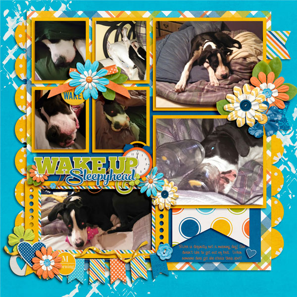 Wake Up Sleepyhead
