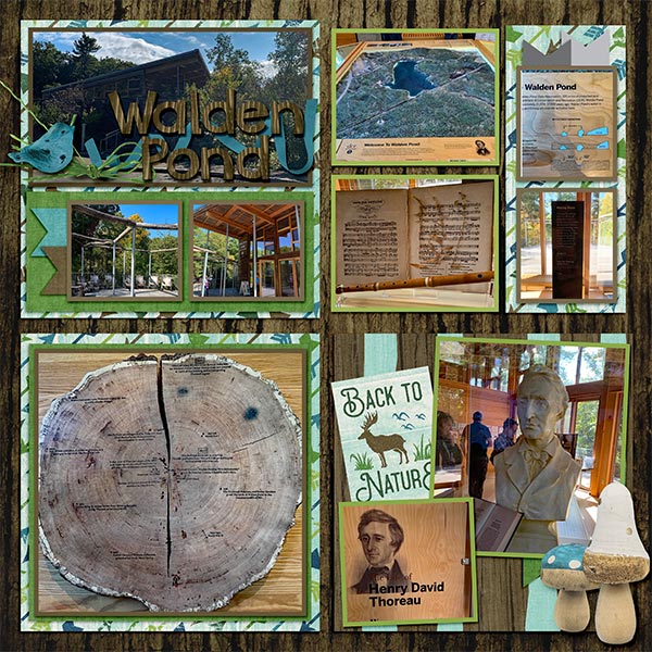 Walden Museum