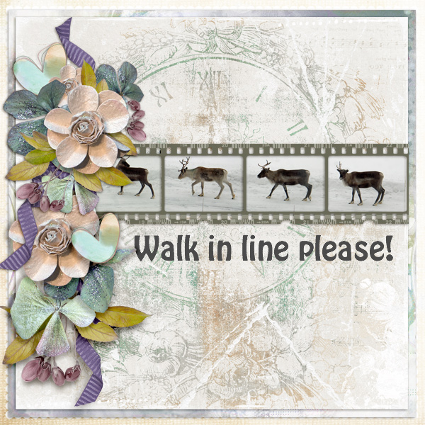 Walk-in-line-please
