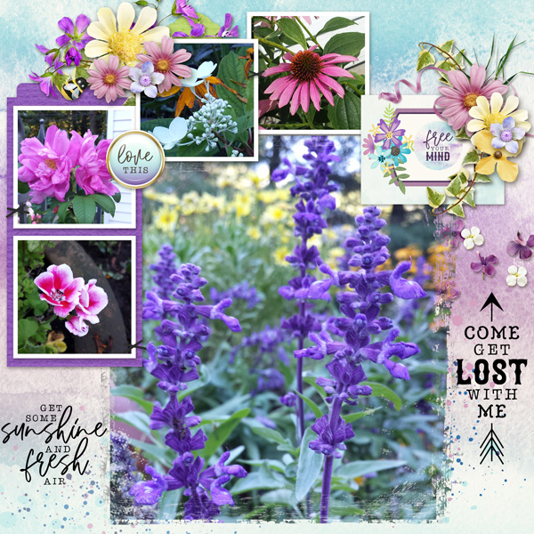 Walk in my garden