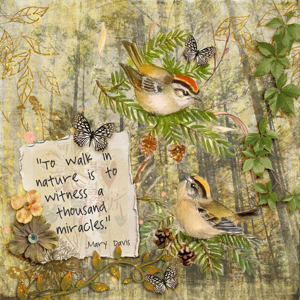 Walk in Nature Quote